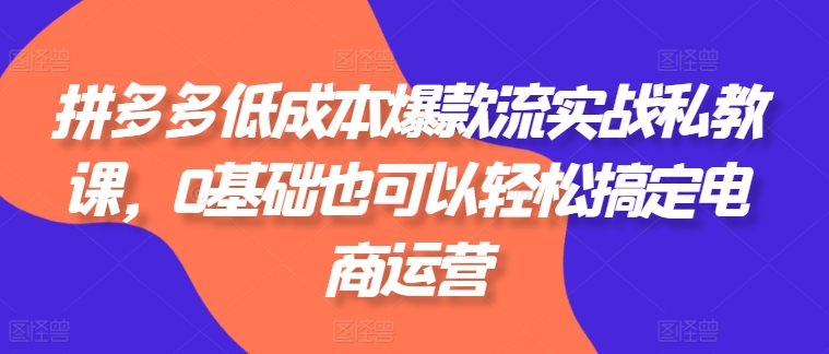 拼多多如何打造一个爆款：拼多多低成本爆款流实战私教课，0基础也可以轻松搞定电商运营-短视频直播带货互联网创业教程分享-529创业网